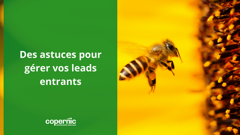 Lead management : Savez-vous comment gérer vos leads entrants